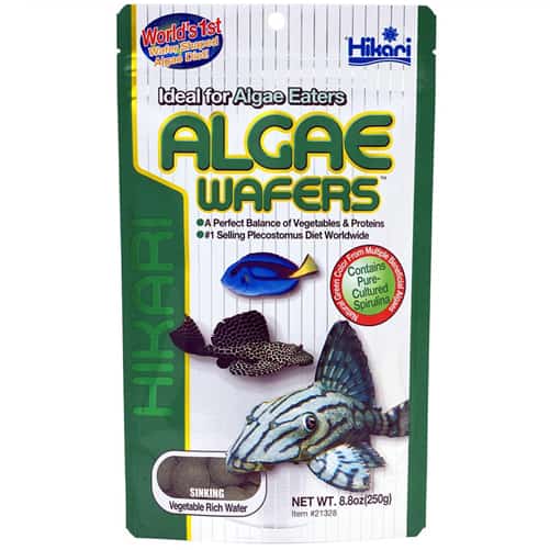 Hikari Algae Wafers-1
