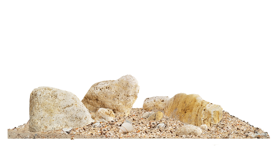 WIO Nautilus Light River Kit