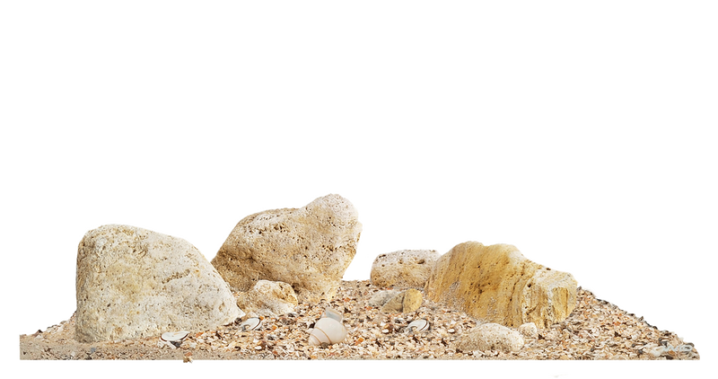 WIO Nautilus Light River Kit-1