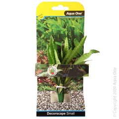 Silk Plant African Onion Plant Sm-1
