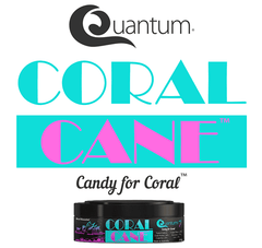 Coral Cane - 66g-1