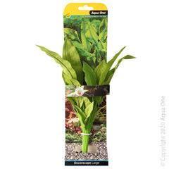 Silk Plant Amazon Broad Leaf L-1