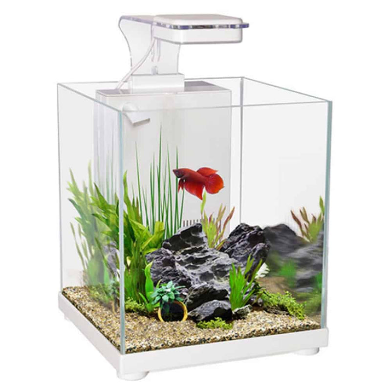 Aqua One Betta Sanctuary-1
