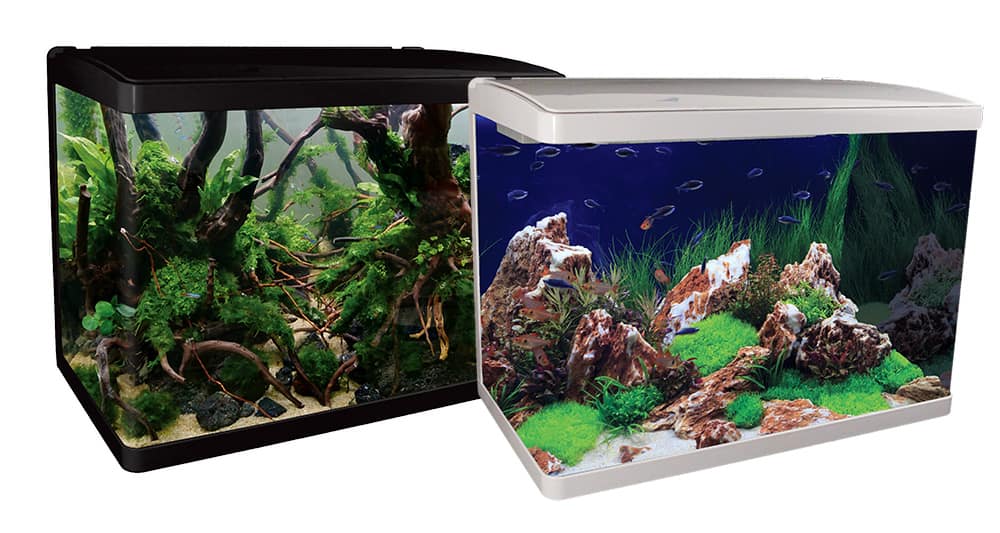 LifeStyle 76 Complete Glass Aquarium