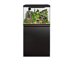 LifeStyle 125 Complete Glass Aquarium-3
