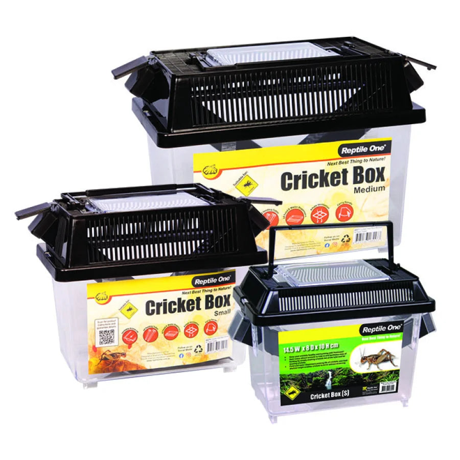 Reptile One Cricket Hold Box Small W Feed Tubes-1