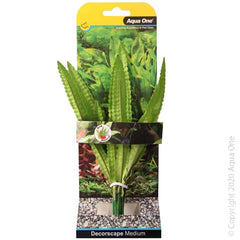 Silk Plant African Onion Plant Md-1