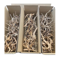 Dymax Tweety Wood Mixed Box (Small and Nano)-1