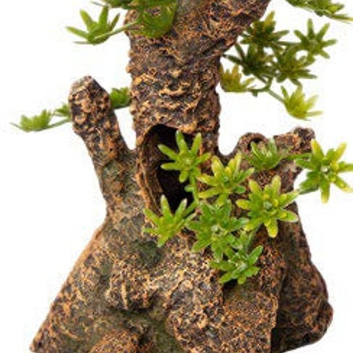 Ornament Umbrella Pine Stump Small 12.5wx13.5dx23.5cmh-1