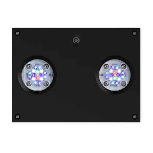 Hydra 32 HD Black-2