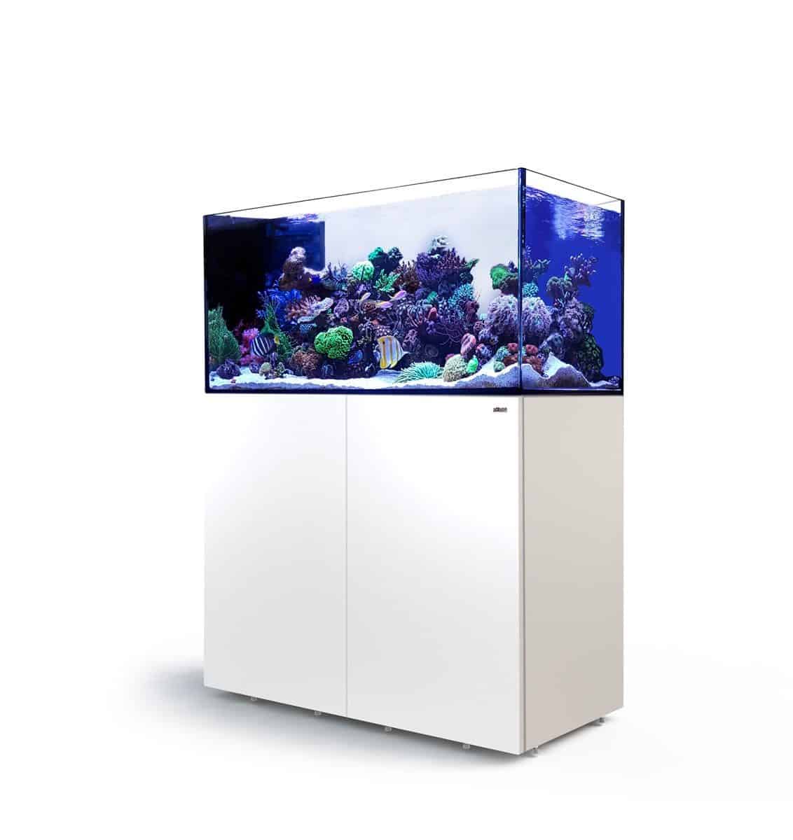 Red Sea Peninsula P500