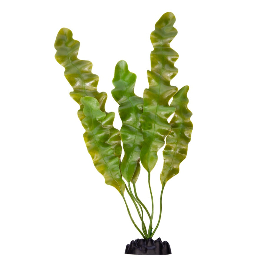 Ecoscape XXLarge Ruffled Lace Plant