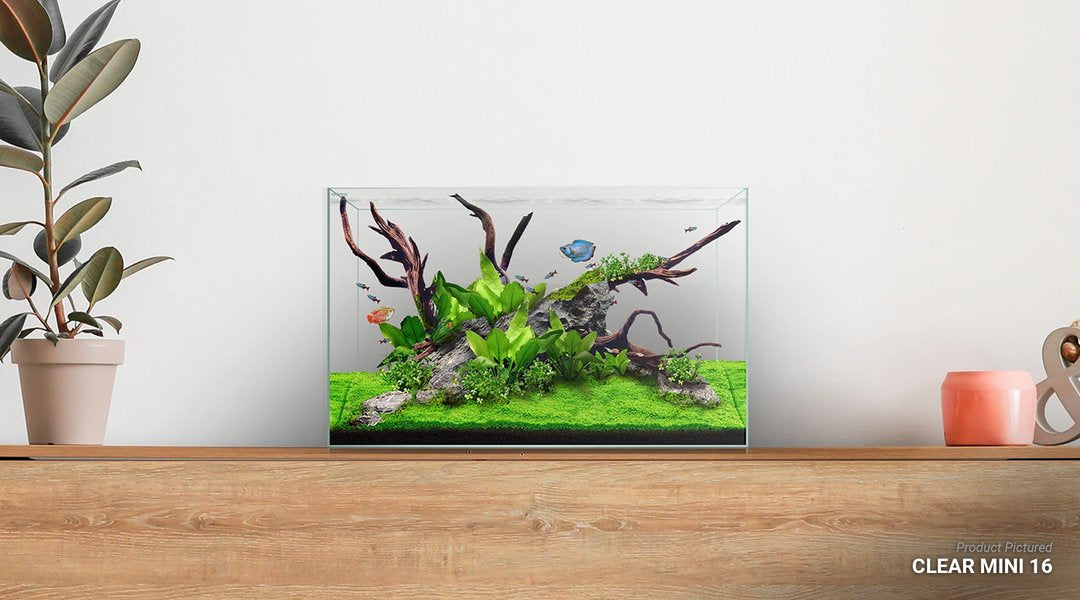 CLEAR MINI