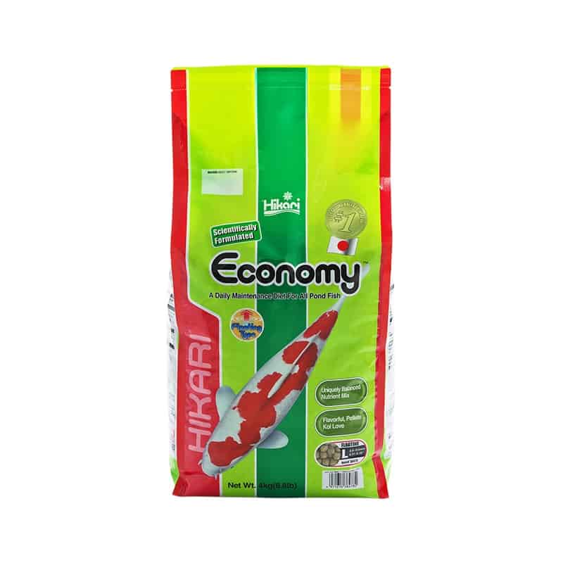 Economy Large - 4Kg
