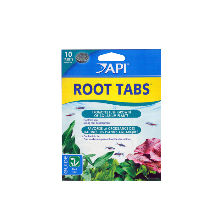 API Root Tablets Card of 10-1