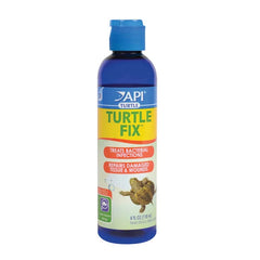 API Turtle Fix-2