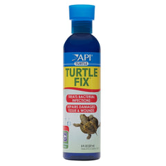 API Turtle Fix-1