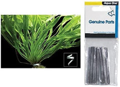 Plant Weight 6cm 10pk-2