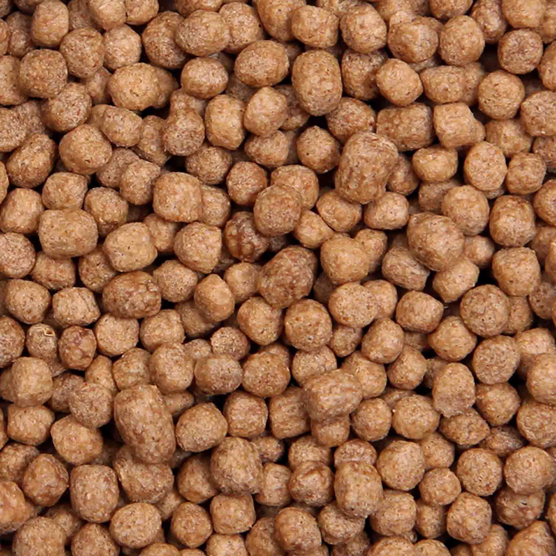 Premium Goldfish Floating Pellets 260g