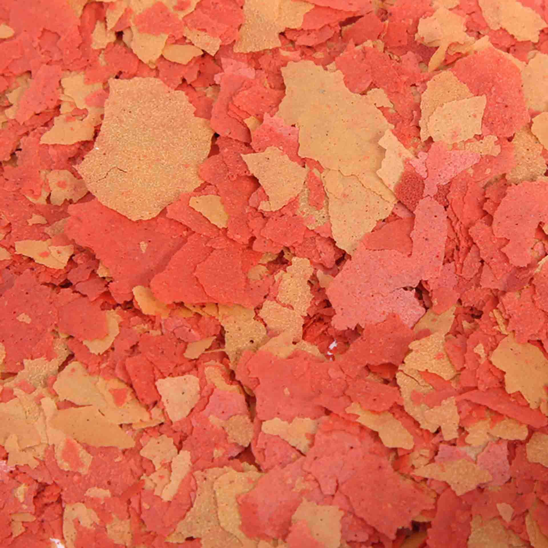Premium Insect Protein Colour Boost Flakes 100g