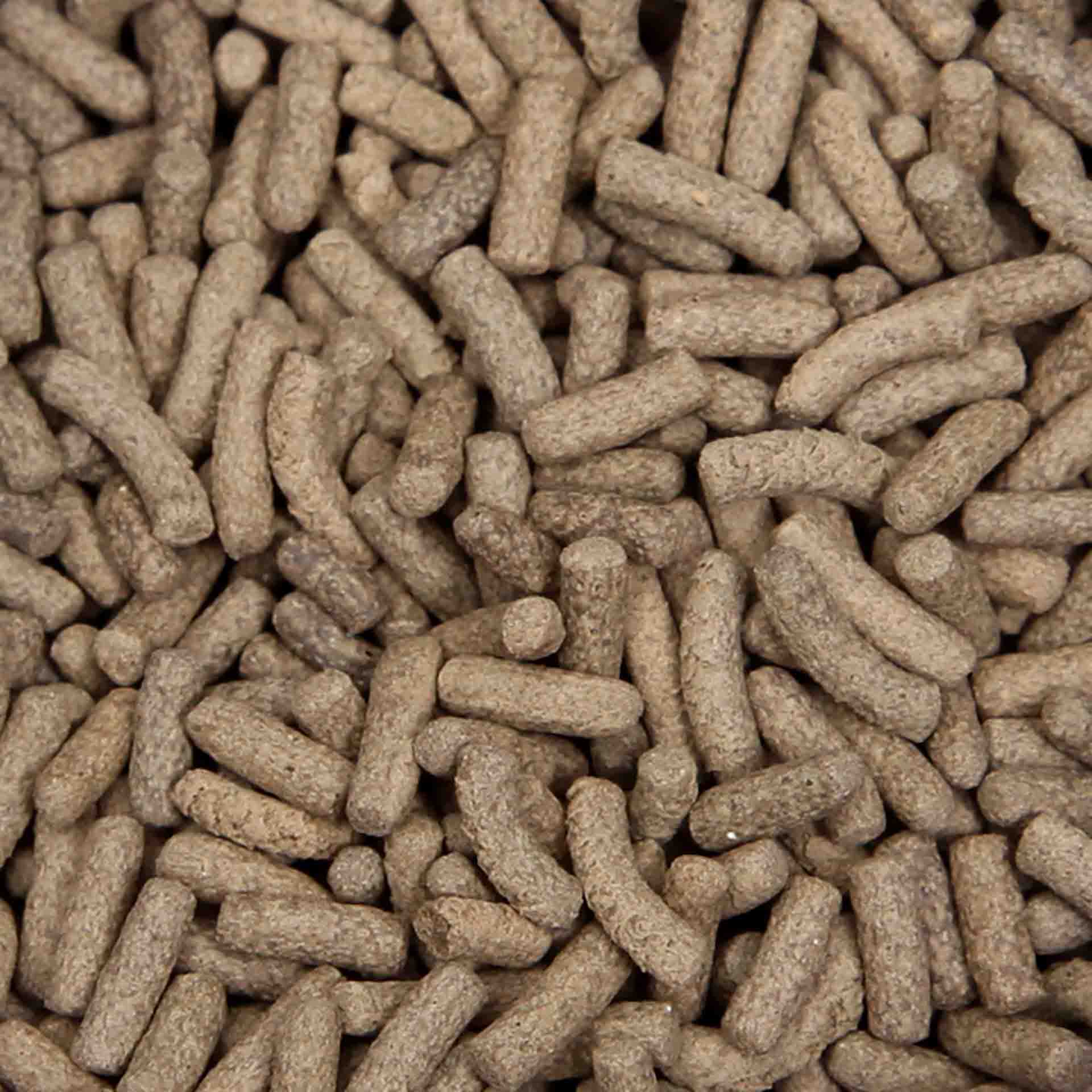 Premium Insect Protein Turtle Feast 280g-2