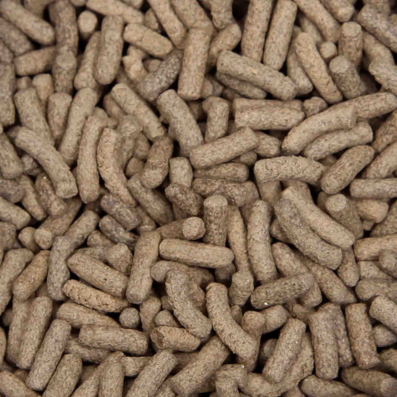 Premium Insect Protein Turtle Feast 140g-2