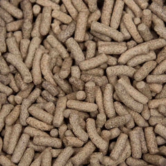 Premium Insect Protein Turtle Feast 70g-2