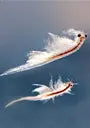 Frozen Artemia Brine Shrimp Flat 454g-2