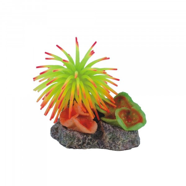 Bioscape Anemone Garden Small 10 x 7cm-1