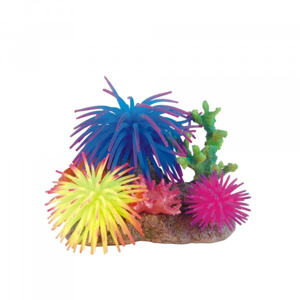 Bioscape Multiple Anemone Garden16 x 12cm Large