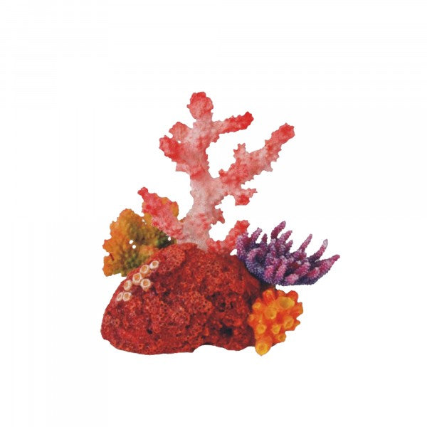 Bioscape Fantasy Coral Garden 16 x 15cm-1