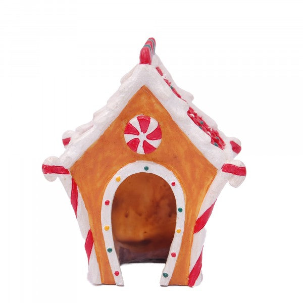 Bioscape Fantasy The Lolly House 11 x 11 x 9cm