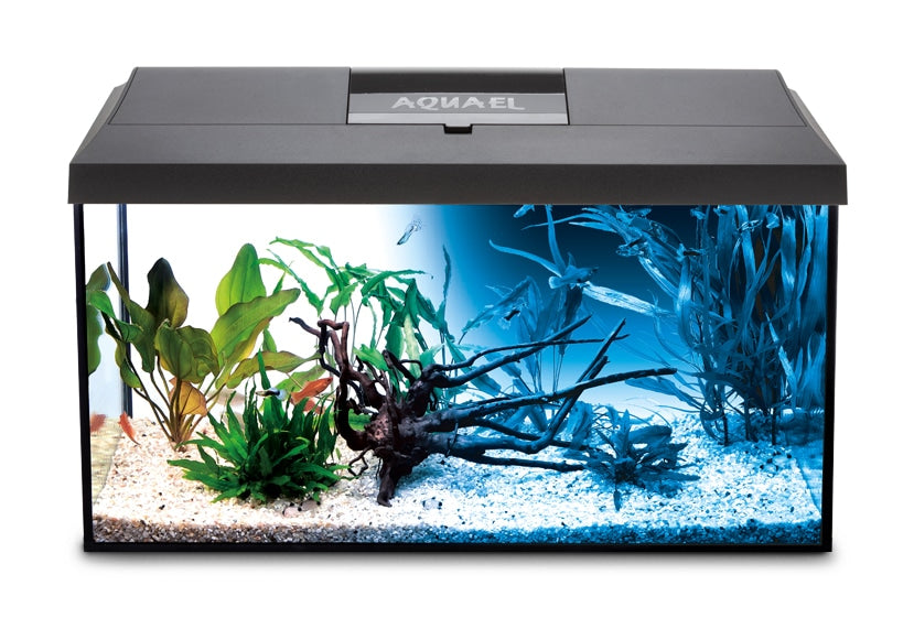 Aquael Leddy Day & Night 60 Black Aquarium Set