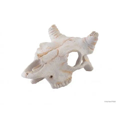Exo Terra Buffalo Skull - Small-1