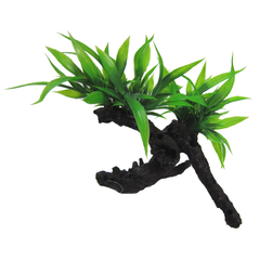 Twin Indo Fern on Log 17cm-1