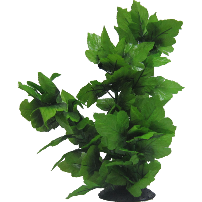 Tall Spatophylum Tree 40cm-1