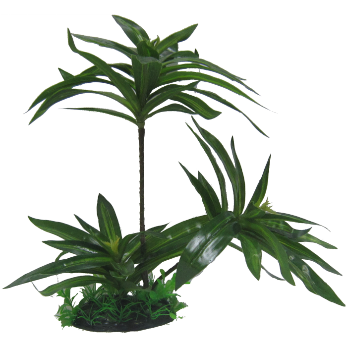 Brazilian Palm Plant 32cm-1