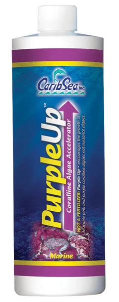 Purple-Up-1