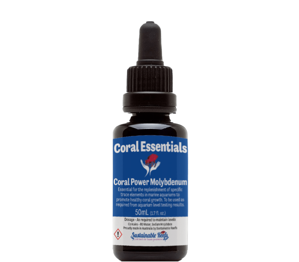 CORAL ESSENTIALS MOLYBDENUM 50ML-1