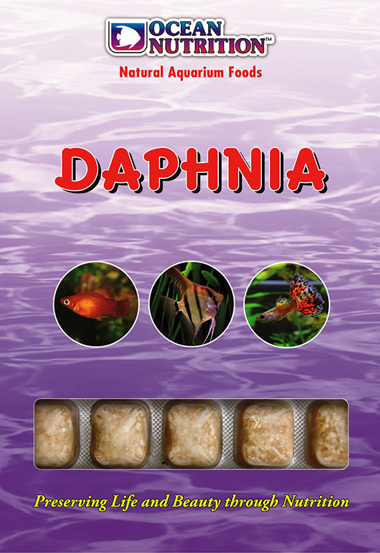 Ocean Nutrition Frozen Daphnia 100g-1