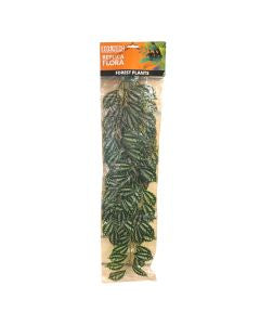 Eco Tech Spiderwort Large 30 x 60 cm-1