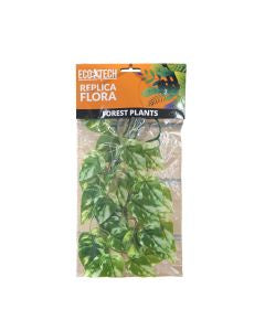 Eco Tech Pothos Small 20 x 30 cm-1