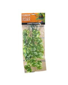 Eco Tech Pothos Medium 20 x 45 cm-1