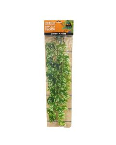 Eco Tech Pothos Large 30 x 60 cm-1