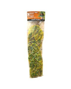 Eco Tech Croton XL 20 x 95 cm-1