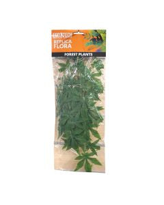 Eco Tech Abutilon Medium 20 x 45 cm-1