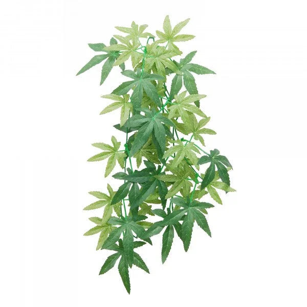 Eco Tech Hanging Albuliton 45Cm