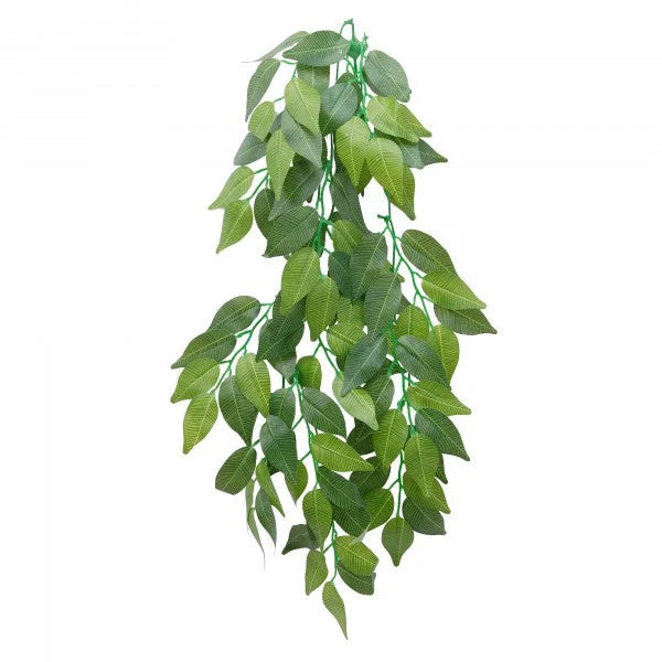 Eco Tech Hanging Ficus 45Cm-1