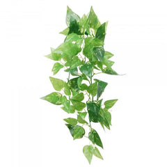 Eco Tech Hanging Honey Ivy 45Cm-1