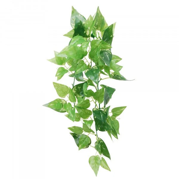 Eco Tech Hanging Honey Ivy 45Cm-1